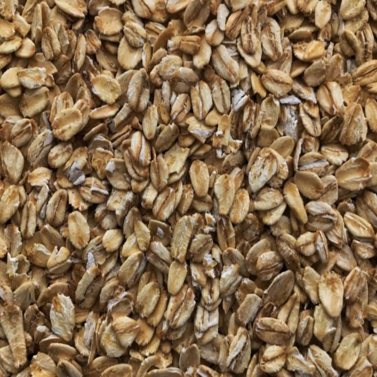 Flaked Torrefied Oats – Crisp