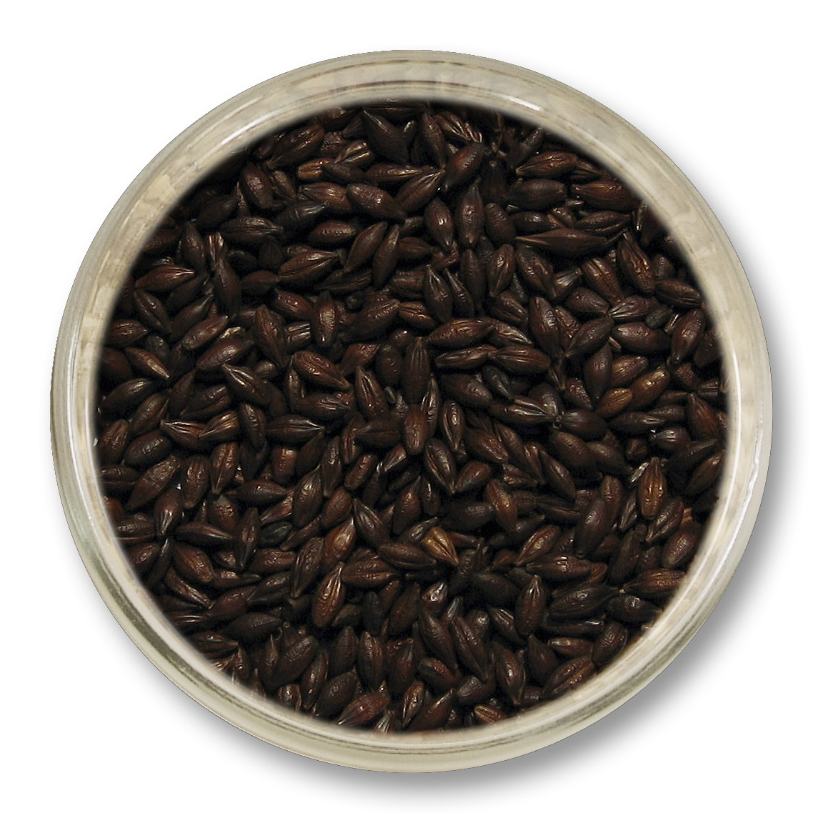 Roasted Barley – Viking