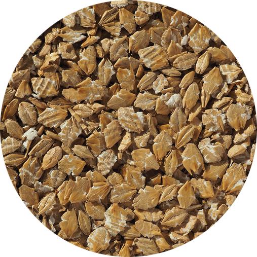 Flaked Torrefied Barley- Crisp